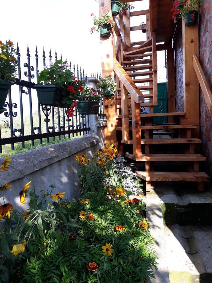 Vila Krismark Zabljak  Bagian luar foto